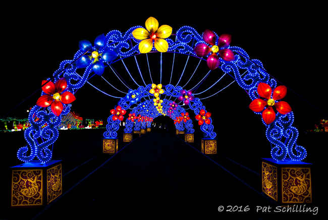 Ohio chinese store lantern festival 2016