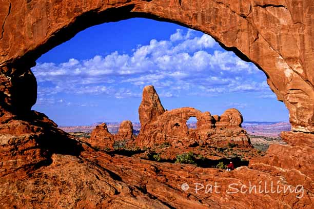 Windows and Arches